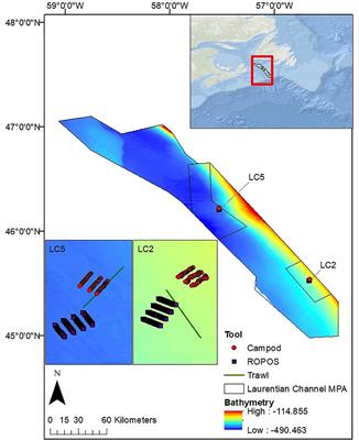 Comparing the Performance of a Remotely Operated Vehicle, a Drop Camera, and a Trawl in Capturing Deep-Sea Epifaunal Abundance and Diversity